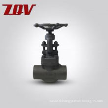 API 602 Socket Weld Fnpt Globe Valve